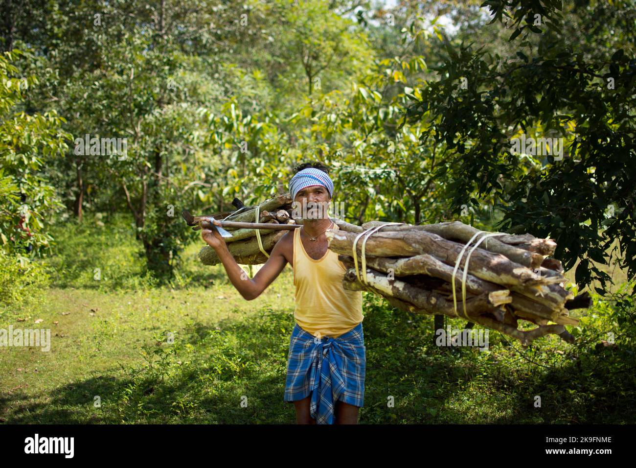 Stammesvolk chattirgrah.Stammesmann sammelt Holz aus dem wald des kanger-Tals Stockfoto