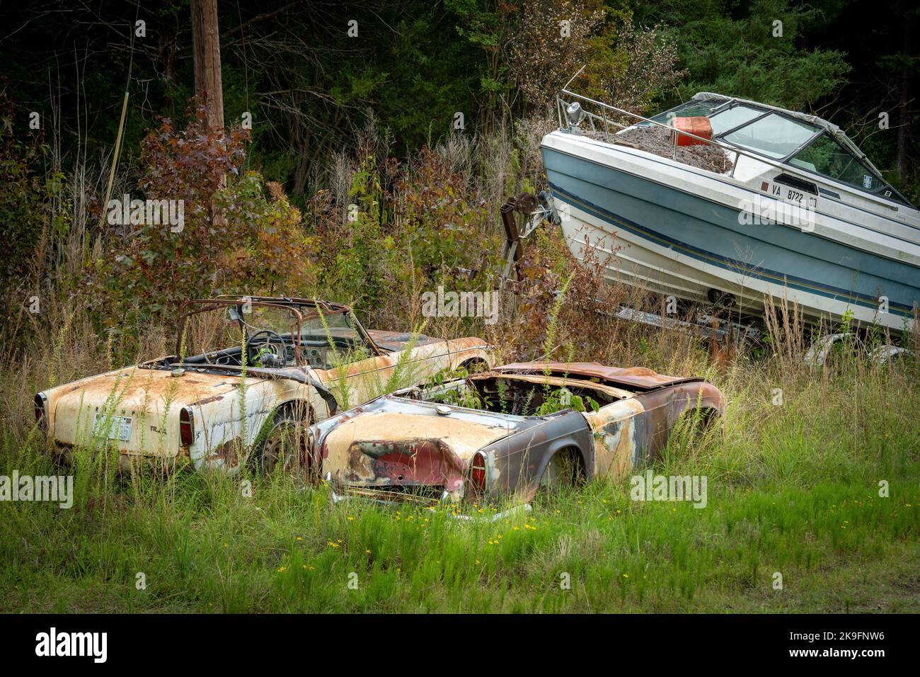 Alte rostige Autos, die nicht mehr fahren, stehen auf einem Feld mit Unkraut und Bäumen Stockfoto