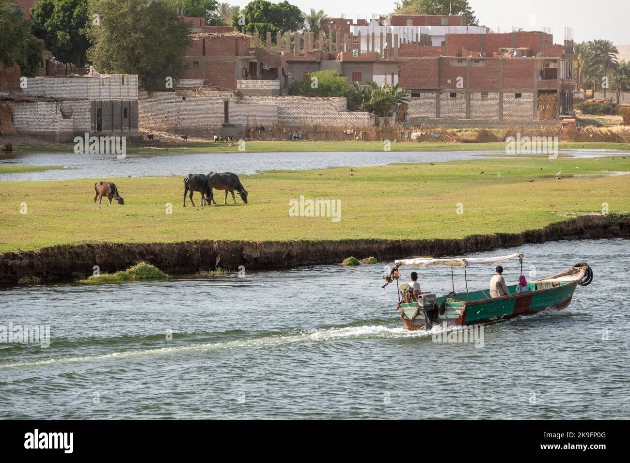 Kleines, motorbetriebenes Schlauchboot mit Außenbordmotor und Segeltuch-Baldachin, das an den Ufern des Nils Ägypten das Wasservieh transportiert Stockfoto