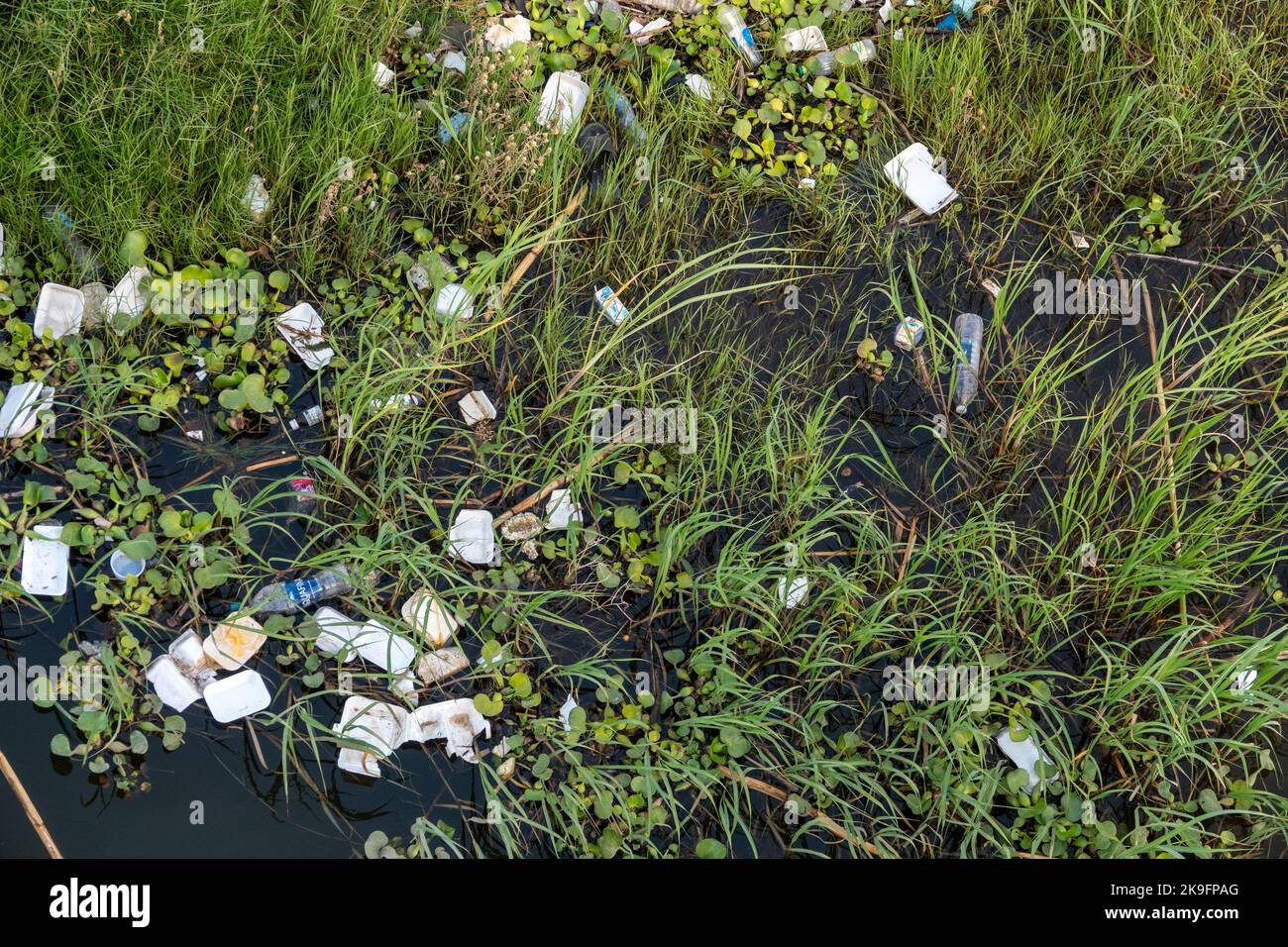 Müll und Müll im Gras am Ufer des Nils, Ägypten Stockfoto