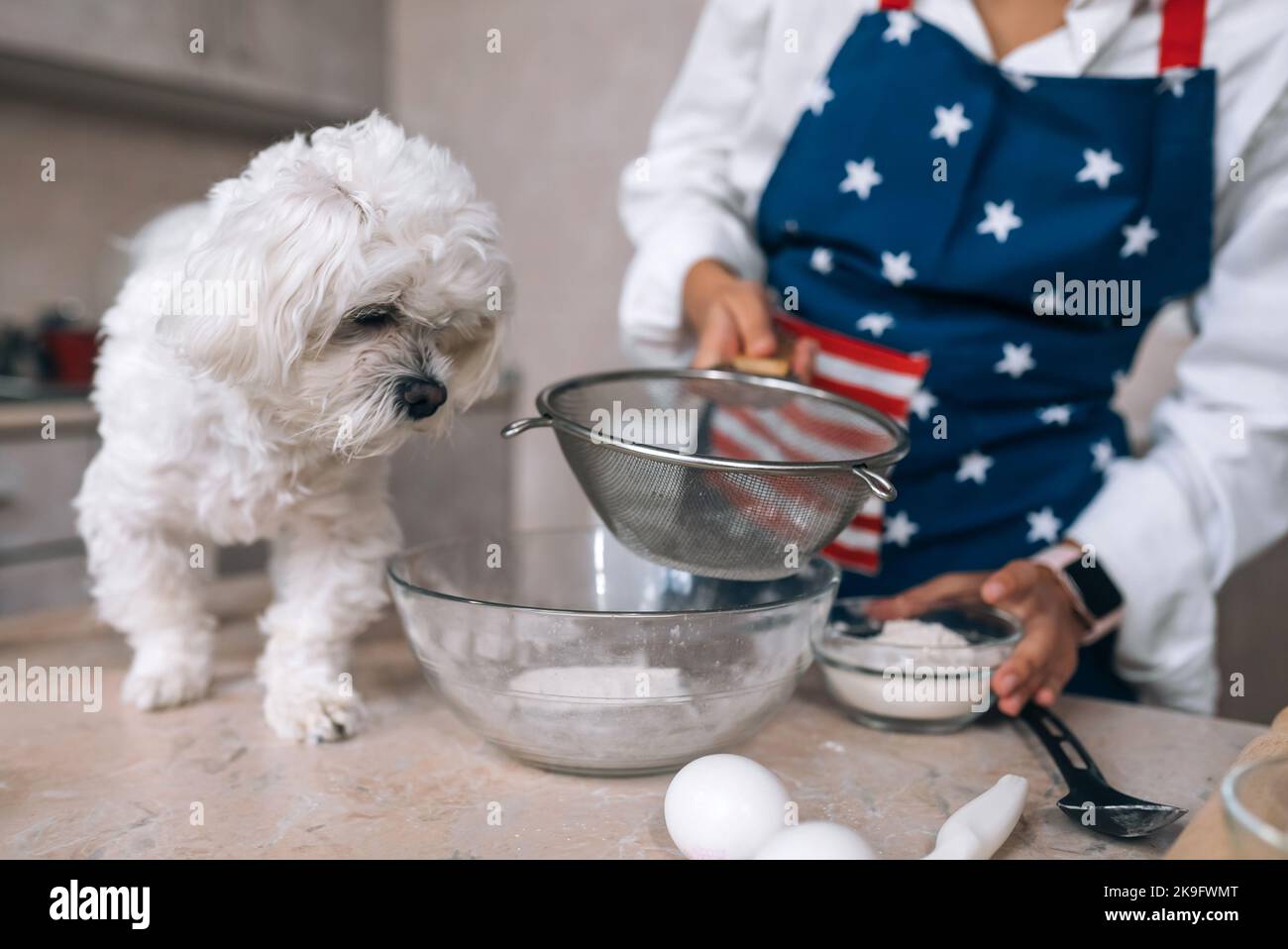 Frau in der Küche siebt Mehl zusammen mit einem Hund Stockfoto