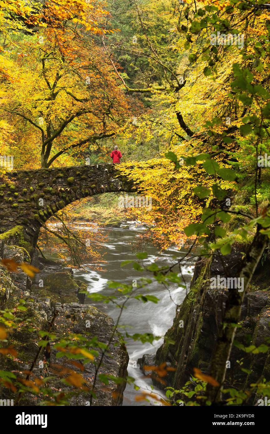 Hermitage, Perthshire, Schottland, Großbritannien im Herbst Stockfoto