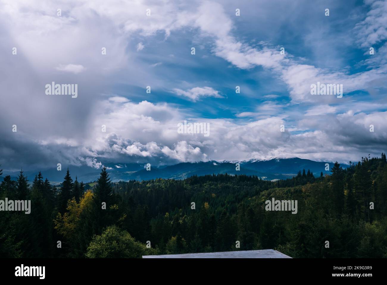 Nadelwald und Berge Landschaft Reisen Sie ruhige Landschaft Stockfoto