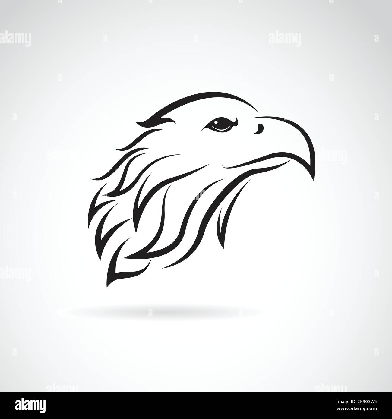 Vektorbild eines Adlerkopfes auf weißem Hintergrund. Leicht editierbare Vektorgrafik mit Ebenen. Wilde Tiere. Stock Vektor