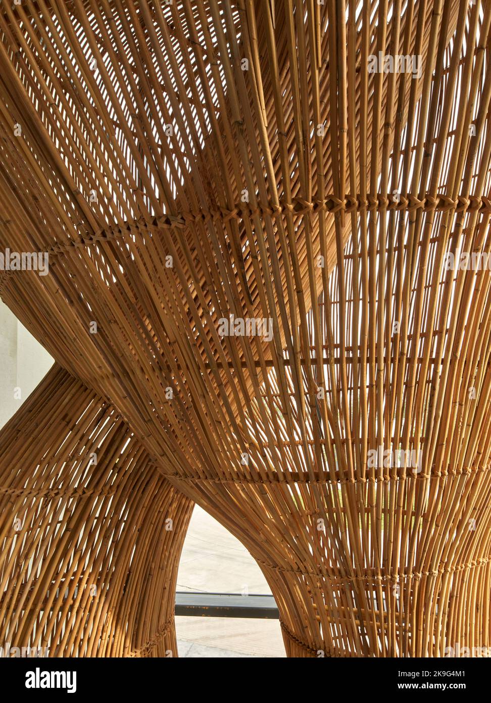 Kurvenreiche Rattan-Installation. Eisballfabrik, Waregem, Belgien. Architekt: Enter Architecture Ltd, 2022. Stockfoto
