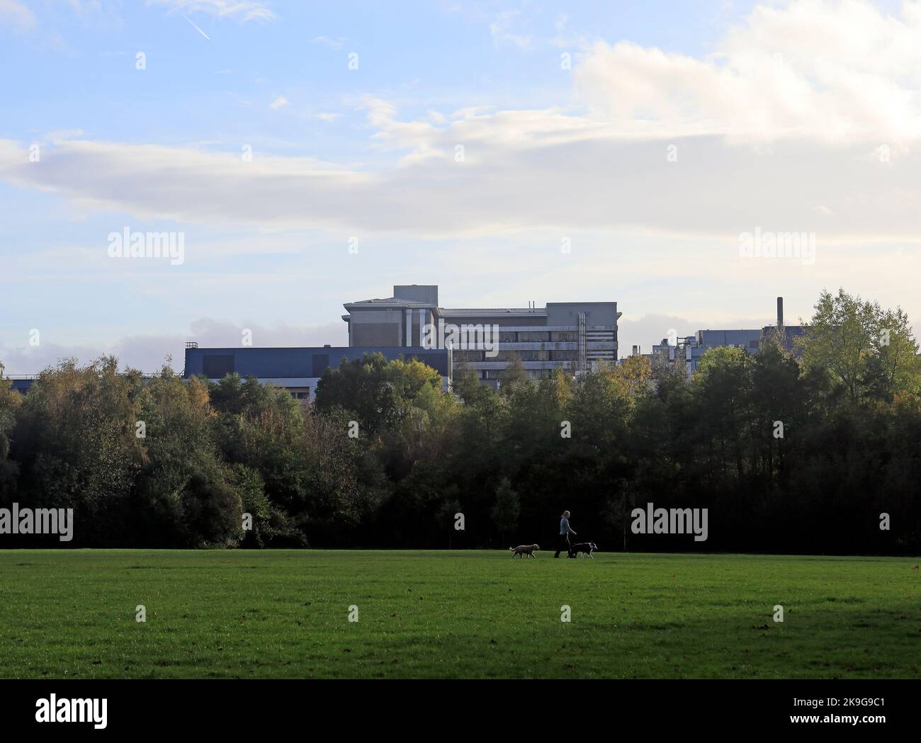 Eingang, University Hospital of Wales, Heath Park. Cardiff. Oktober 2022. Herbst. Stockfoto