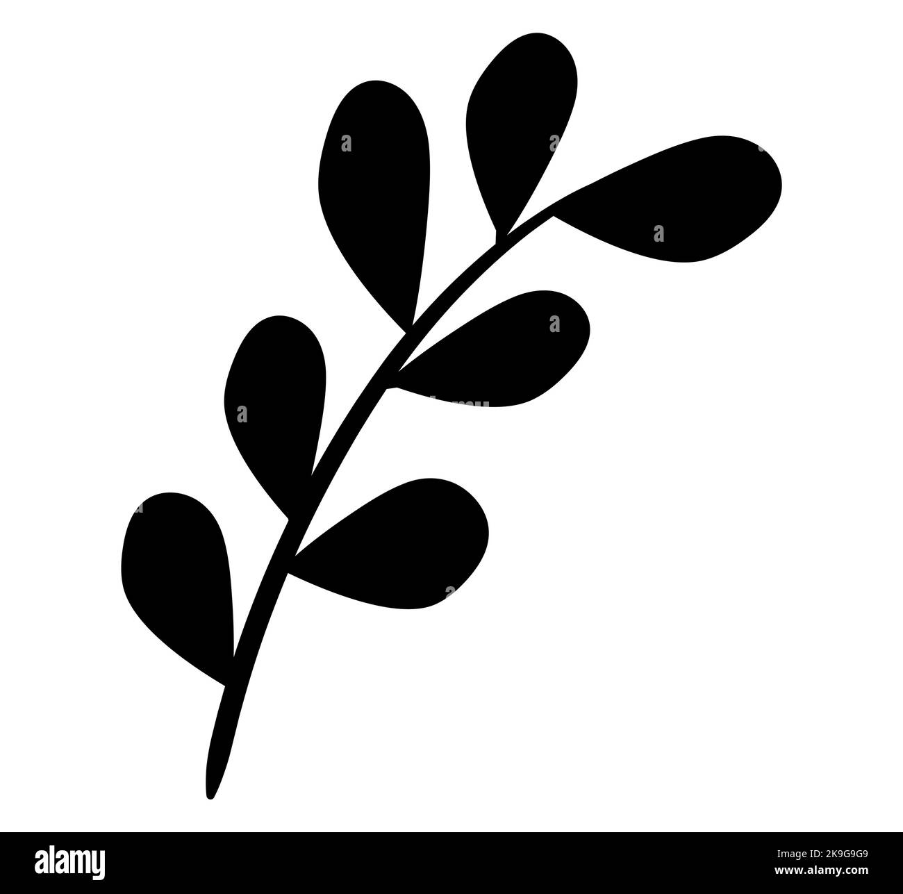 Schwarze Silhouette aus botanischer Blüte Blumenelement, Zweig, Blatt, Kraut, Laub. Stock Vektor