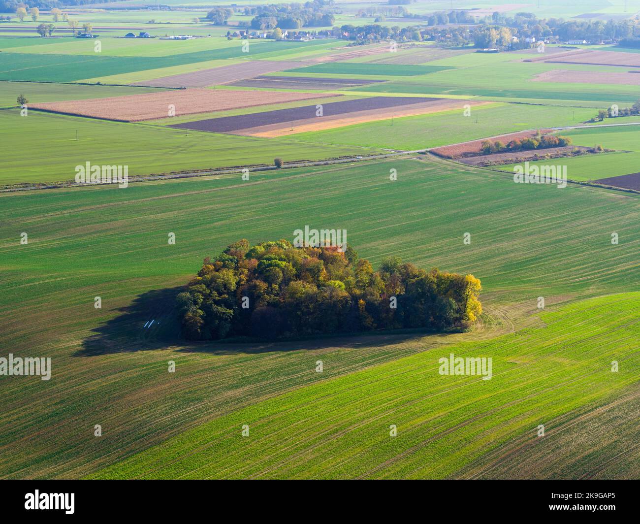 Mitten in der Natur, Luftaufnahme des herbstlichen herzförmigen Waldes zwischen landwirtschaftlichen Feldern Stockfoto