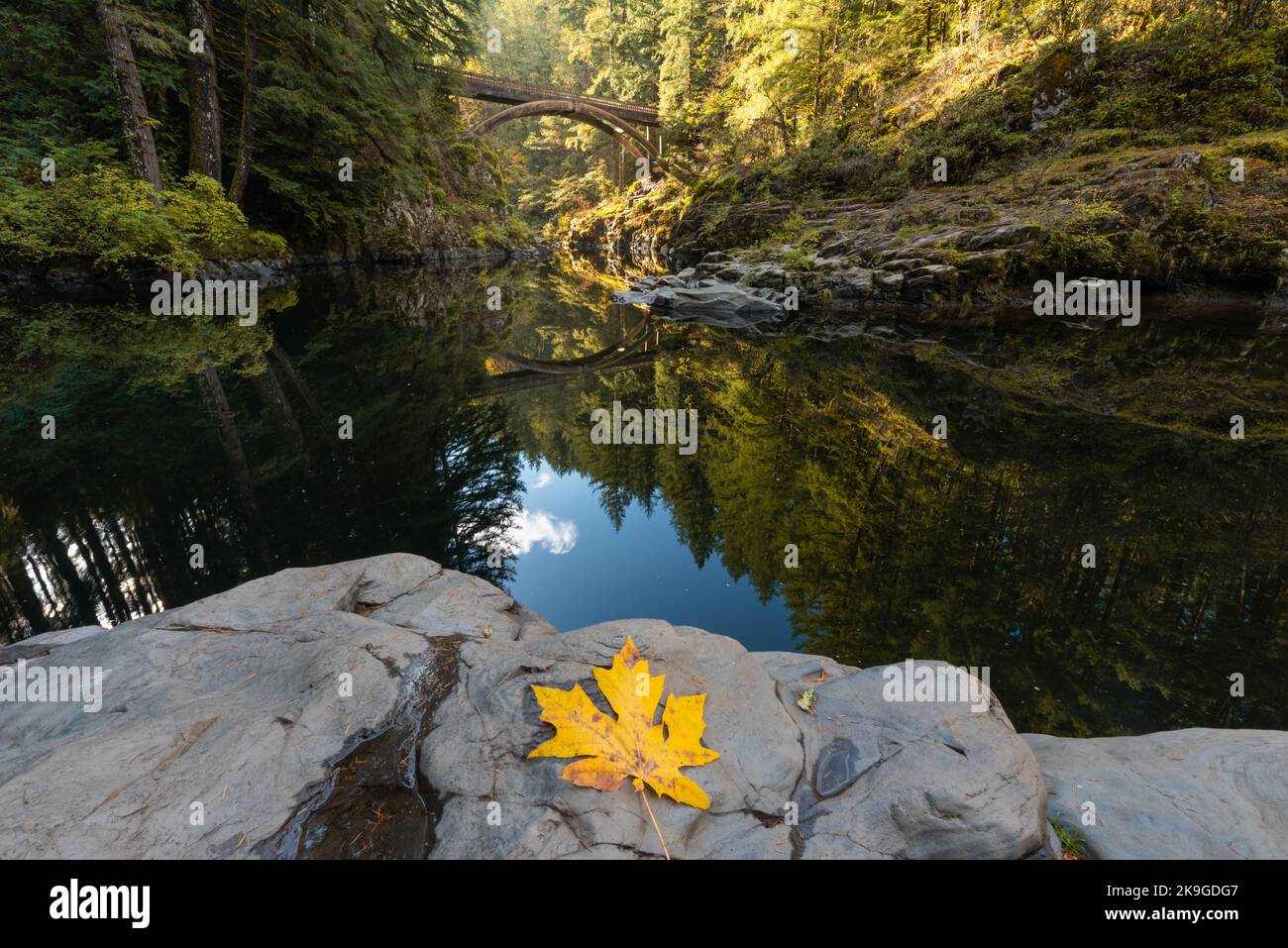 Herbstliches Blatt und unberührte Spiegelungen der Waldbrücke über ruhiges Wasser im Bundesstaat Washington, Pazifischer Nordwesten Stockfoto