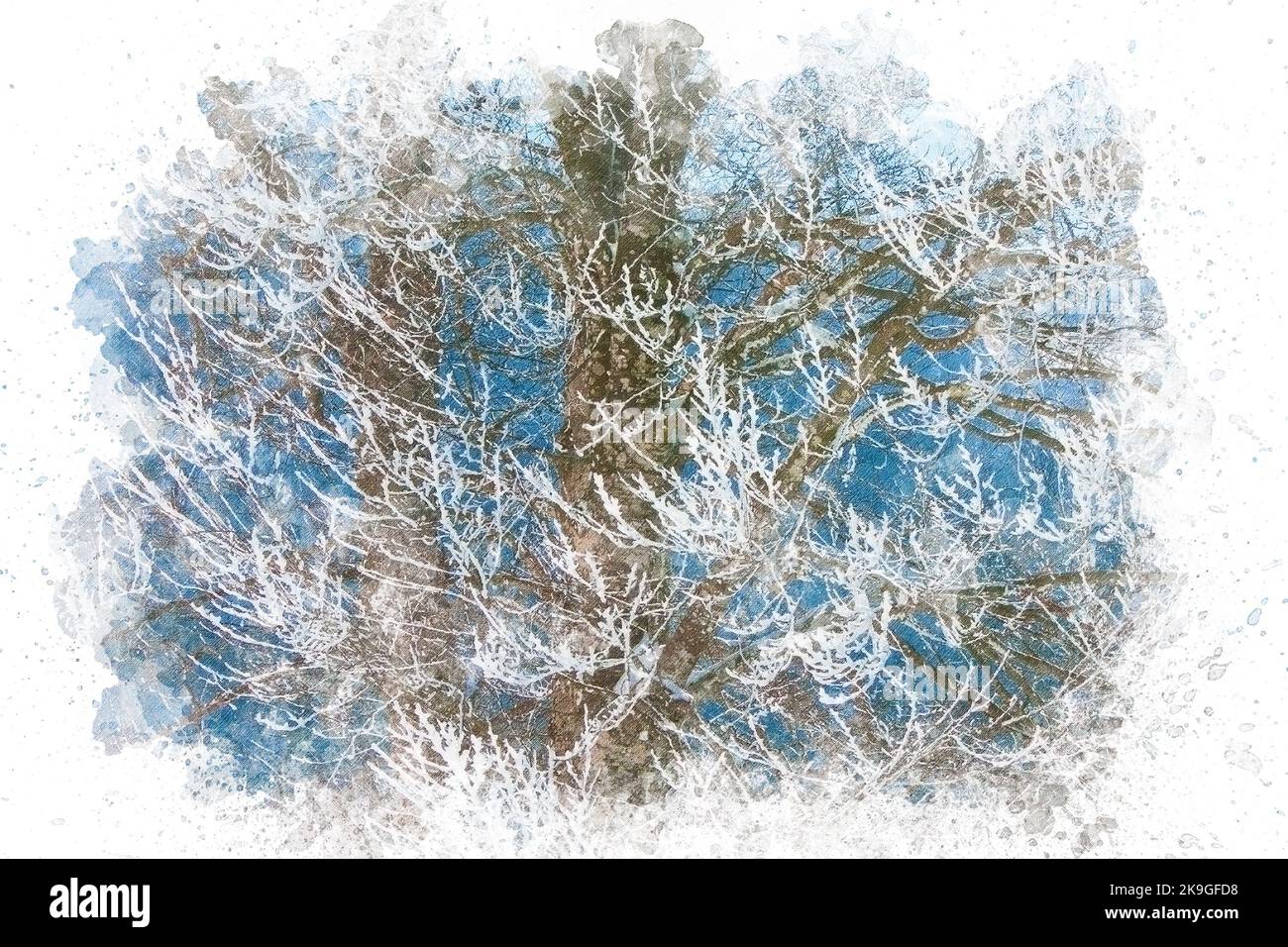 Aquarell Malerei Illustration von schneebedeckten Baum mit gefrorenen Ästen. Winterhintergrund Stockfoto