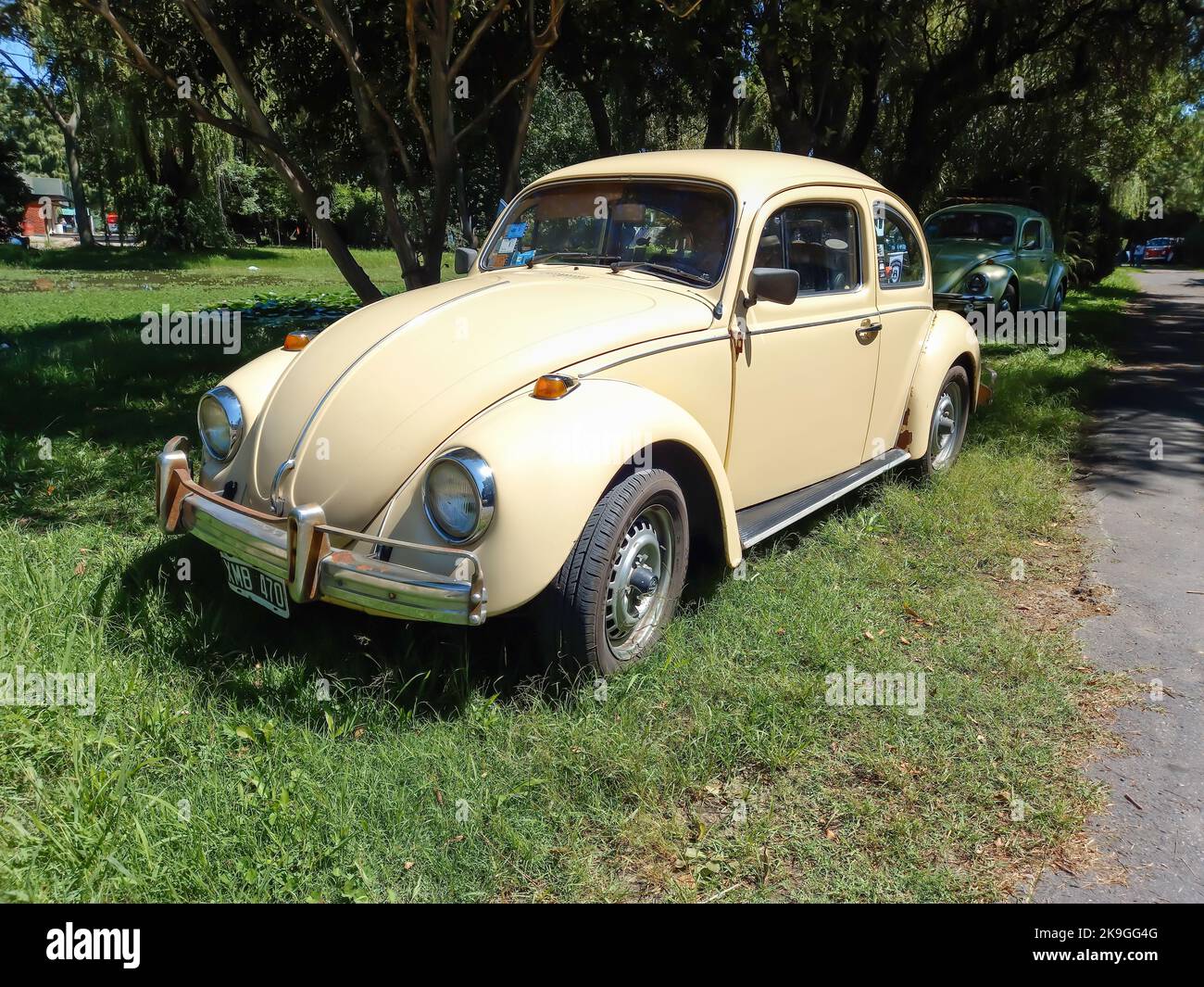 Escobar, Argentinien - 12. März 2022: Alter Volkswagen Beetle Typ 1 Bug. Gras und Bäume Natur Campingplatz Hintergrund. Oldtimer-Show. Copyspace Stockfoto