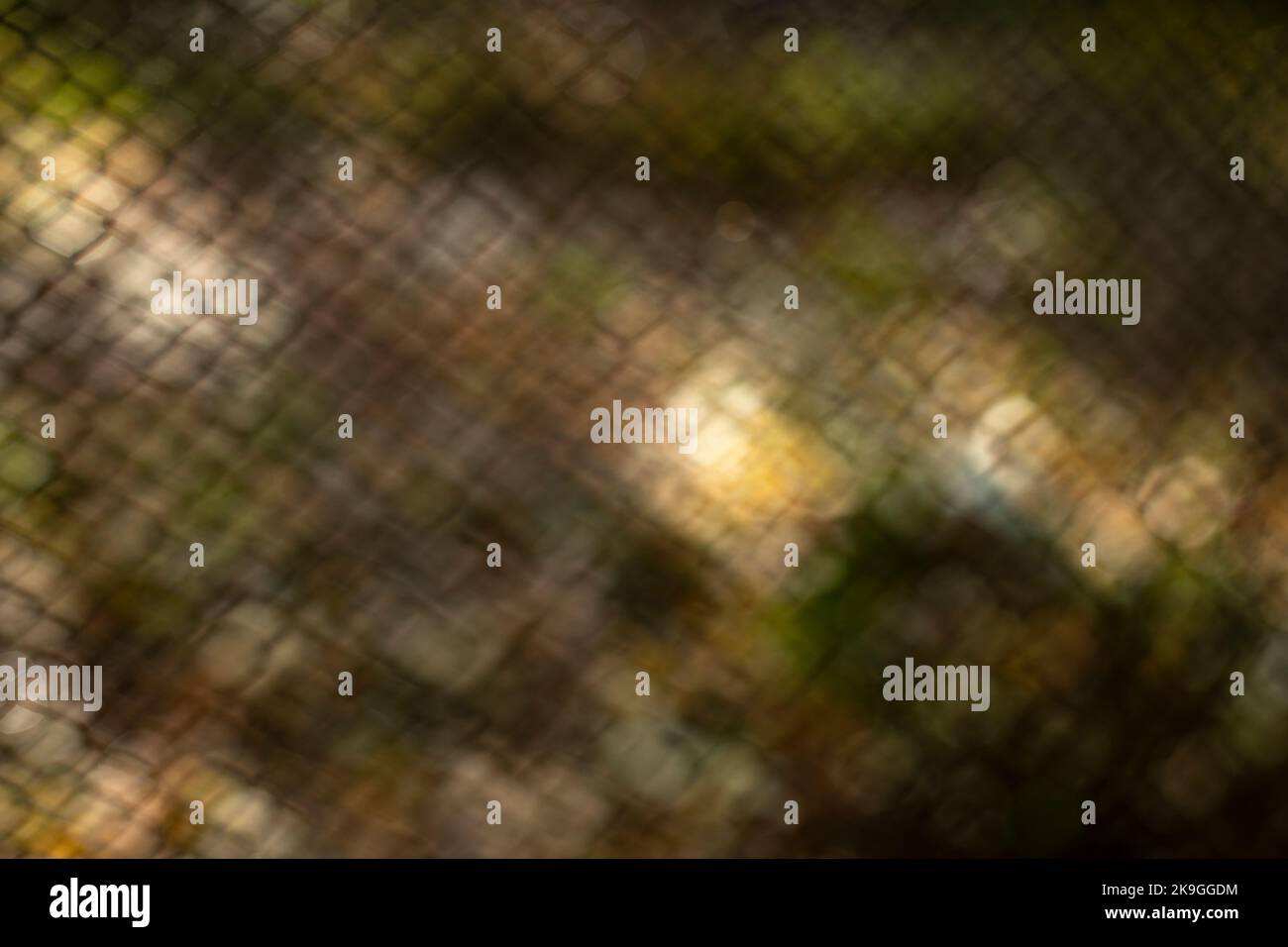 Netzstruktur. Hintergrund im Feld. Unscharfe Oberfläche. Solarüberlauf. Wellenartige Schwingung. Stockfoto