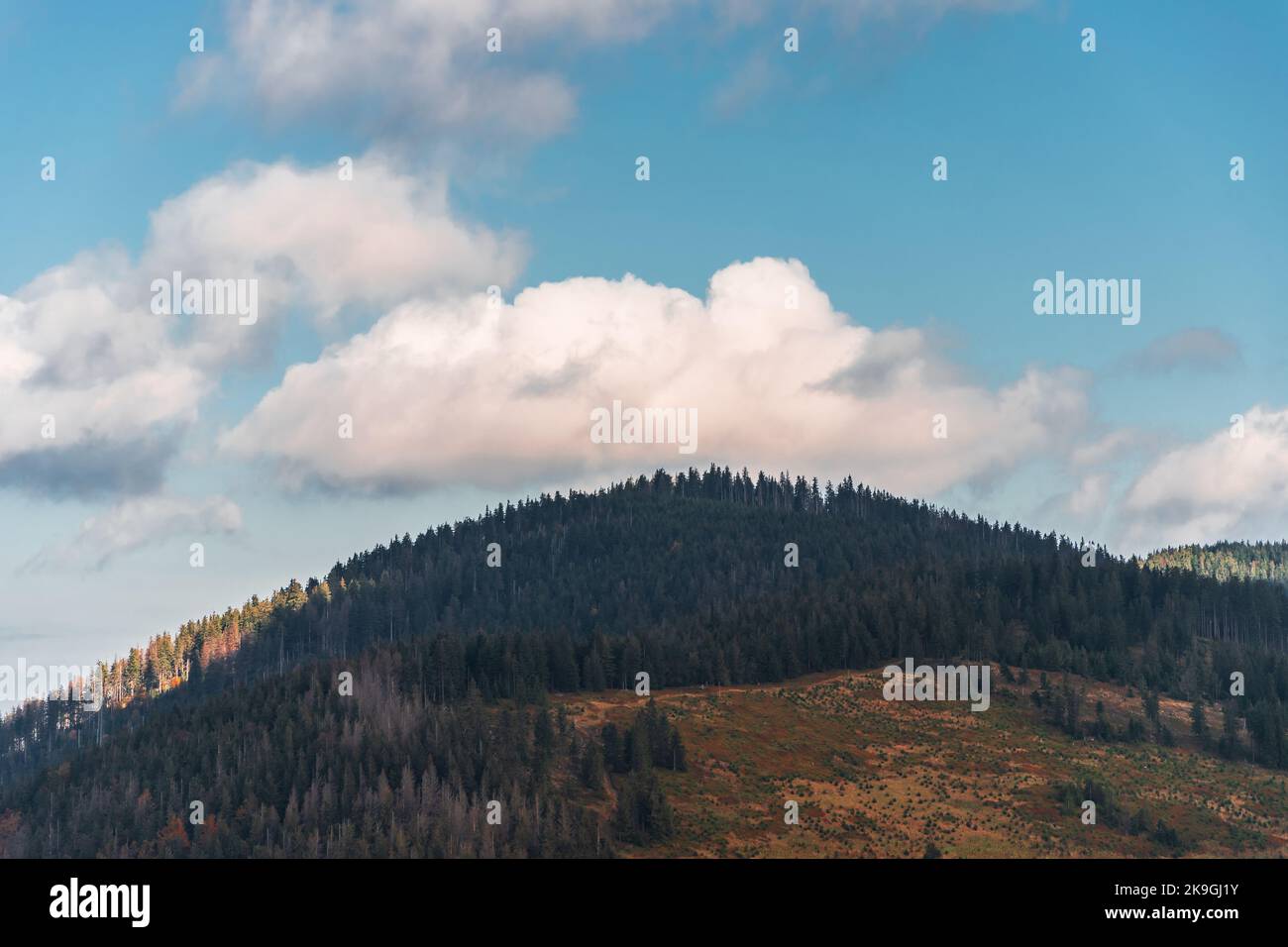 Blick auf den Berggipfel von Beskid Żywiecki. Berg „Ranka“ im Herbst. Polen Stockfoto