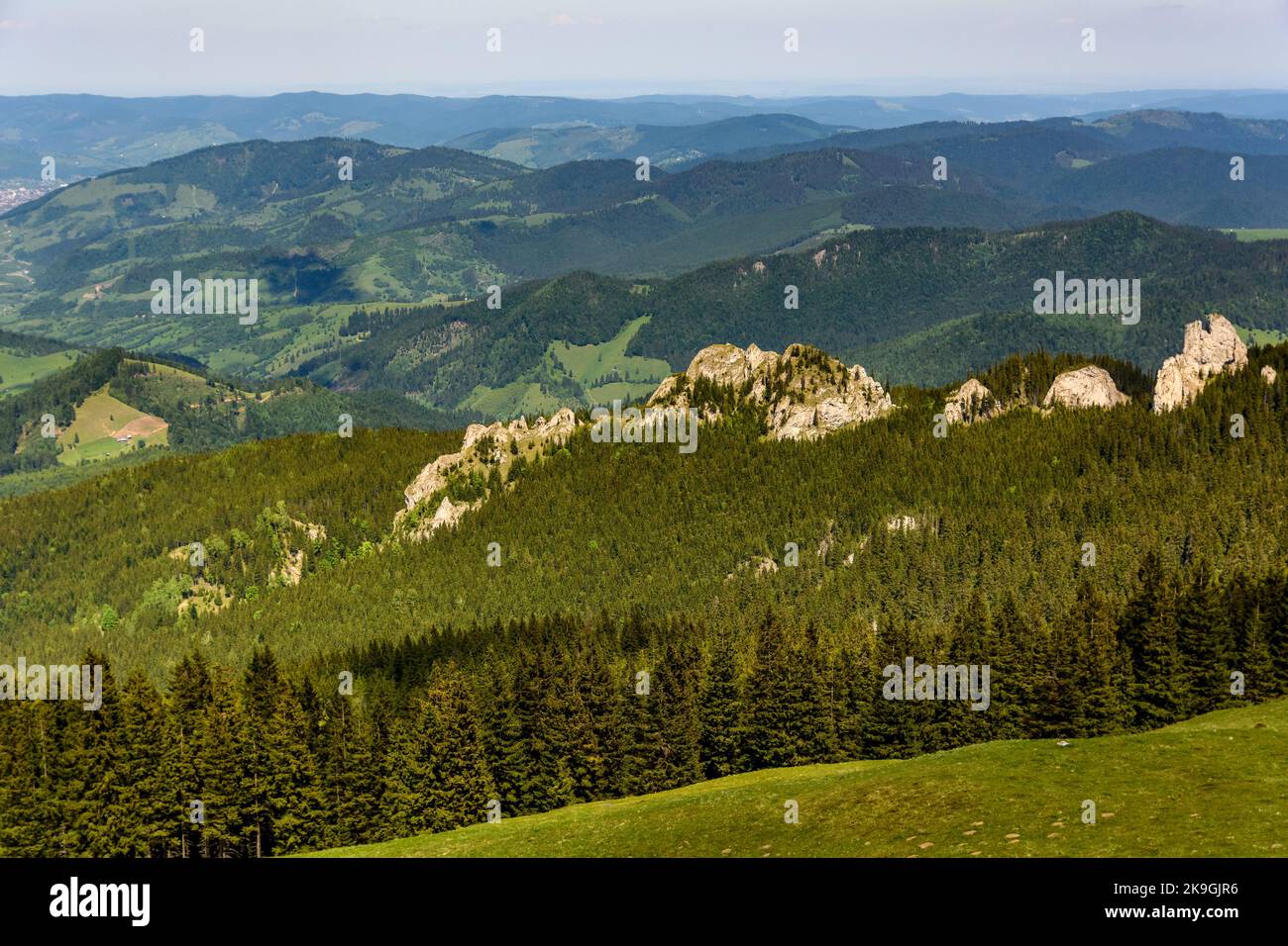 Malerische grüne Täler des Rarau-Gebirges, Rumänien Stockfoto