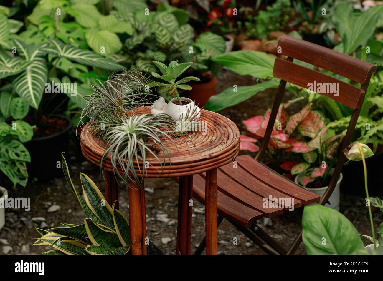 Wunderschöner Sitzbereich inmitten eines üppigen tropischen Gartens, perfekter Ort für eine entspannende Meditation und Entspannung Stockfoto