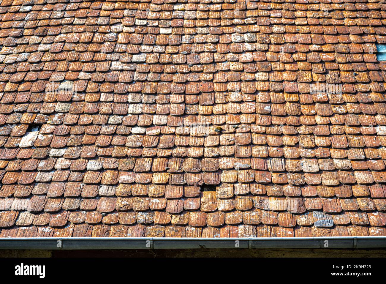 Lehmschindeln auf einem Dach im Elsass, Frankreich Stockfoto