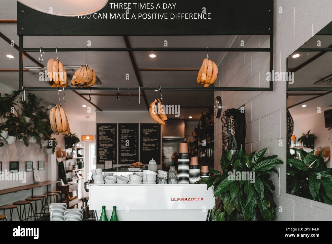 Die Einrichtung eines hellen, sauberen und aufgeräumten Cafés, George Cafe, Neuseeland Stockfoto