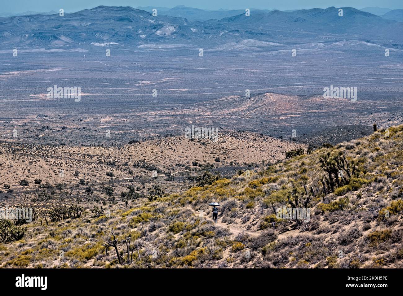 Wanderung durch die Mojave-Wüste nahe Walker Pass, Pacific Crest Trail, Kalifornien, USA Stockfoto