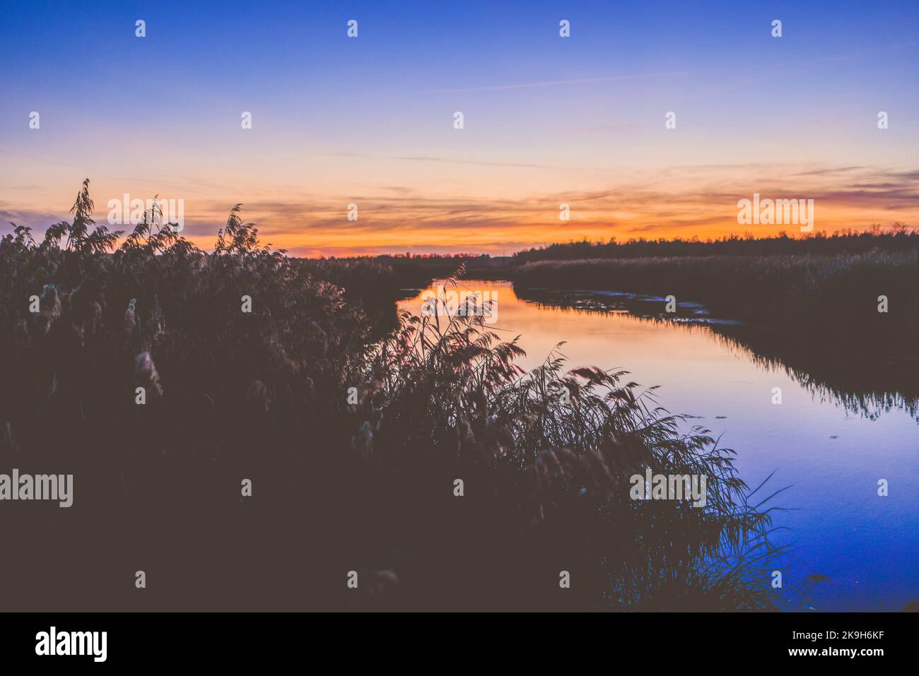 Der Federsee bei Bad Buchau, Baden-Württemberg, Deutschland, Europa Stockfoto