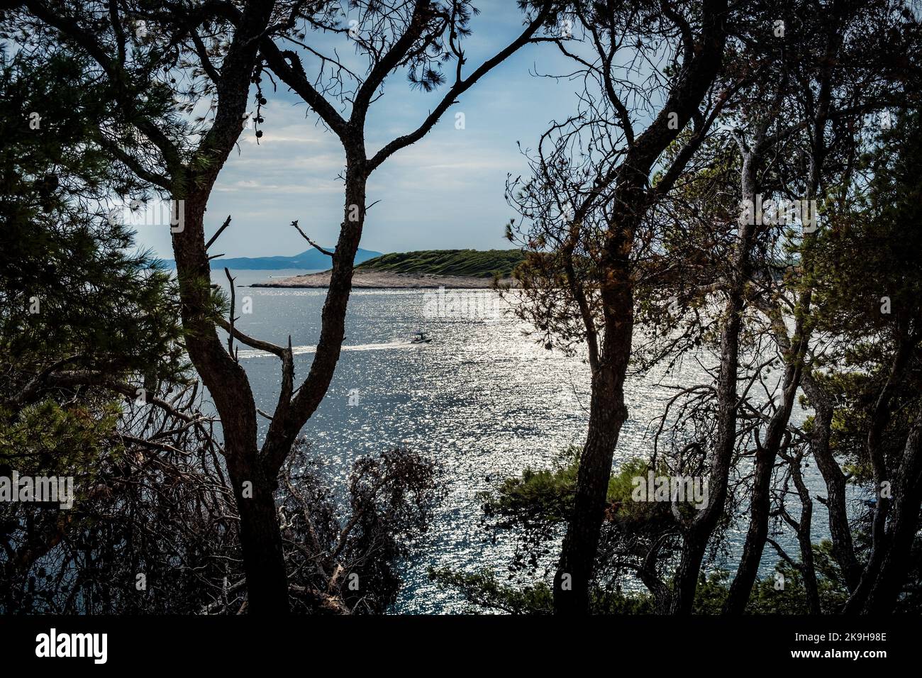 Schnellboot zwischen Bäumen, Insel Hvar, Kroatien Stockfoto