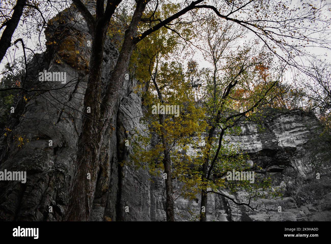 Bild einer Klippe von der Basis mit Himmel im Hintergrund im Herbst Stockfoto