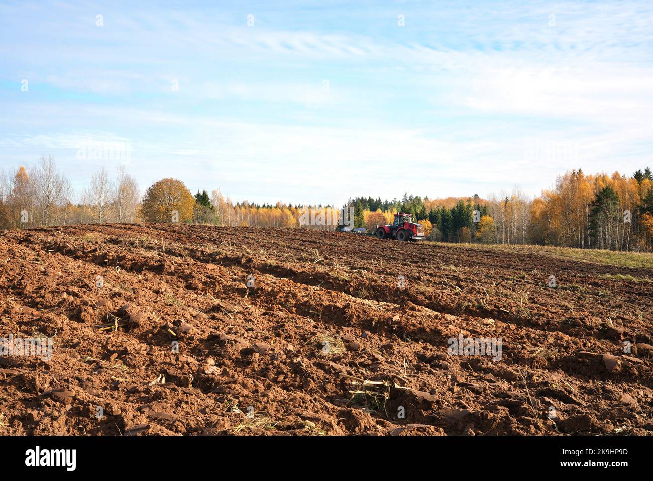 Traktor pflügt ein Feld im Herbst begleitet von Wald Stockfoto