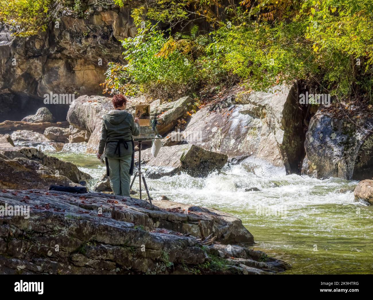 Künstlerbild im Babcock State Park in West Virginia USA Stockfoto