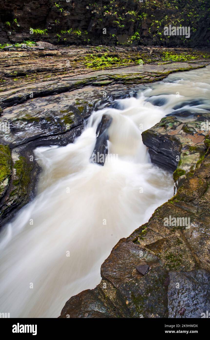 Enfield Creek fließt durch die Enfield Gorge im Watkins Glen State Park, Schuyler County, New York Stockfoto