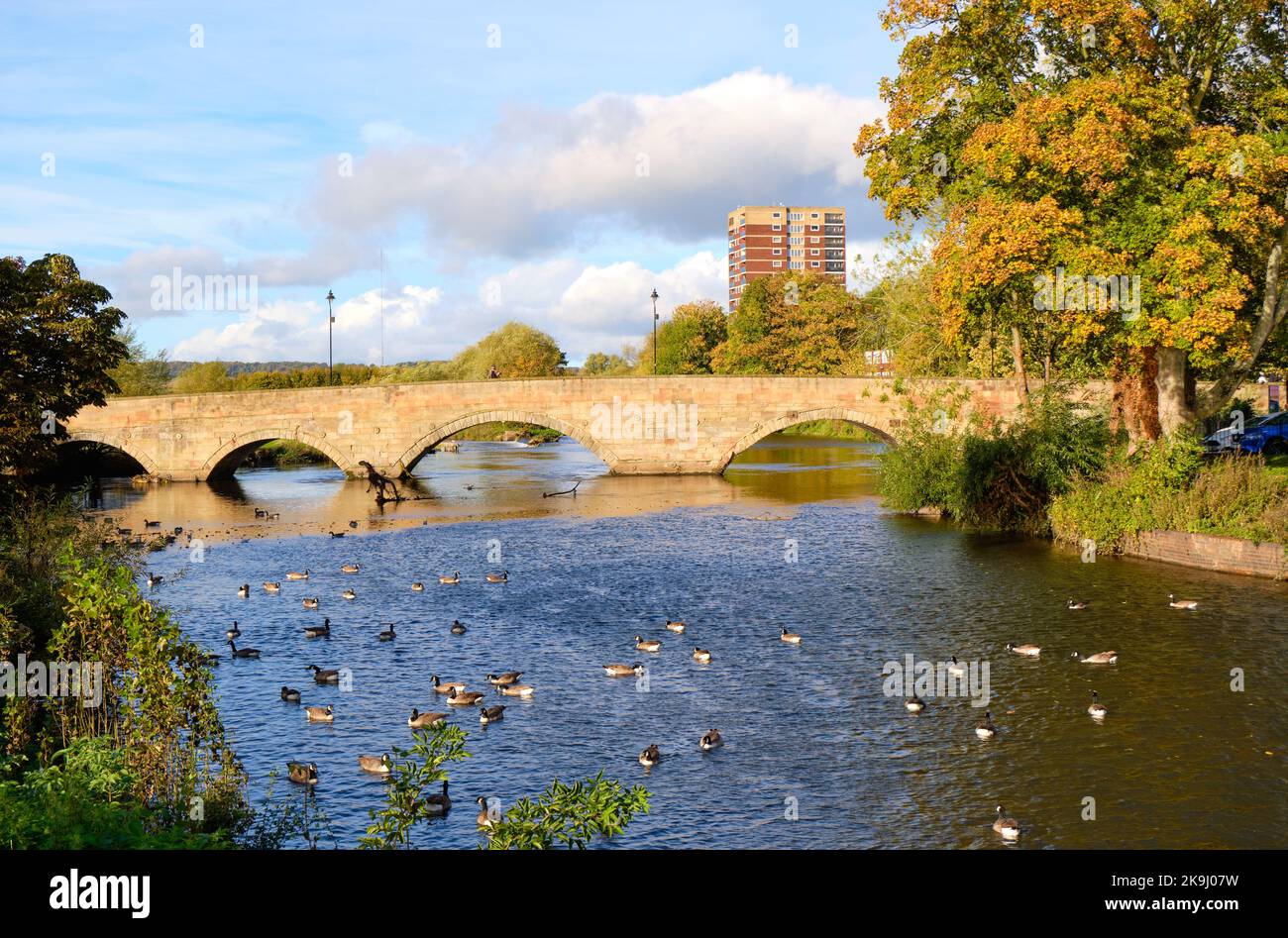 Steinbrücke über den Fluss Thame in Tamworth, Großbritannien Stockfoto