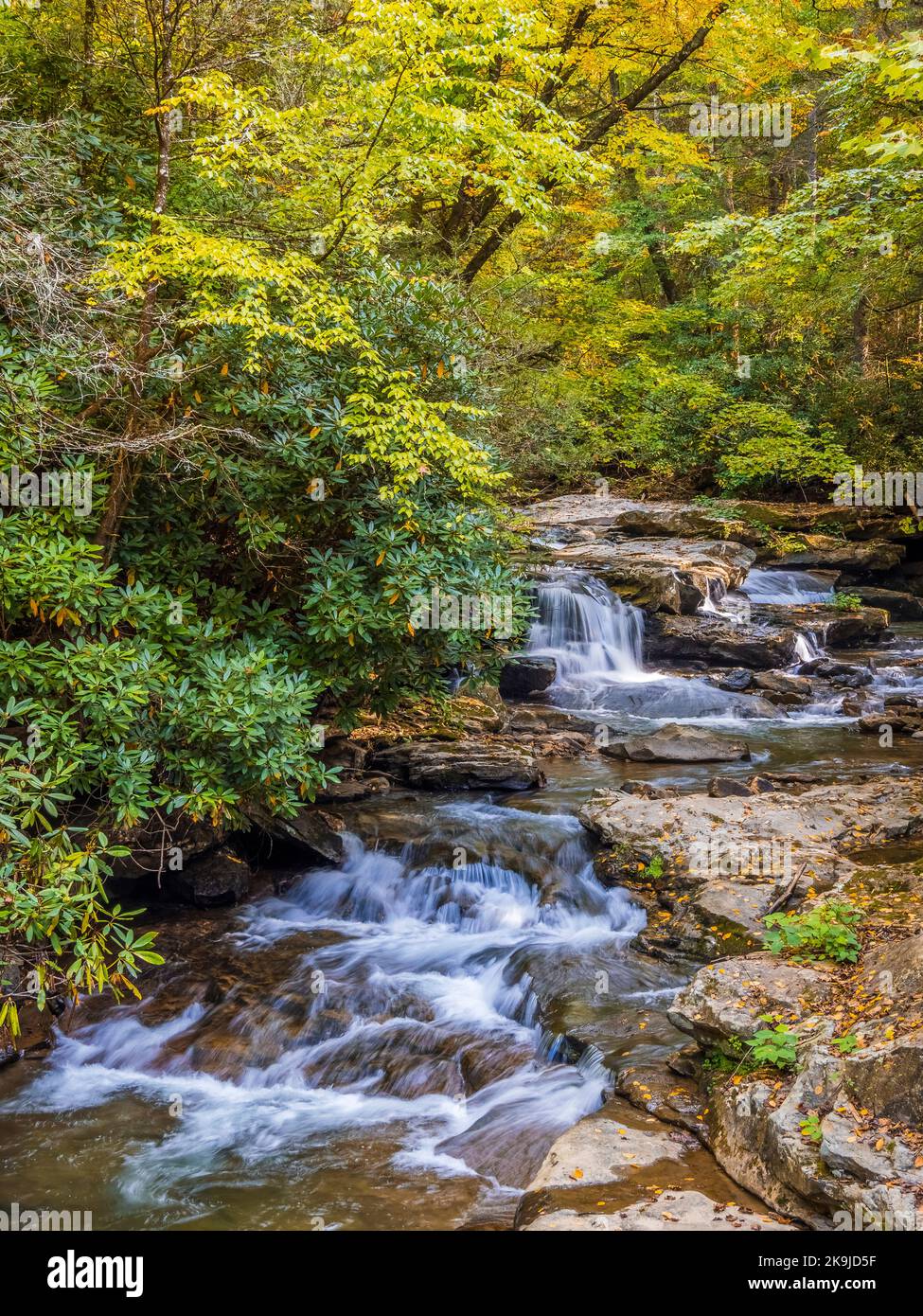 Kleiner Bach und Wasserfälle im New River Gorge National Park und Preserve in West Virginia USA Stockfoto