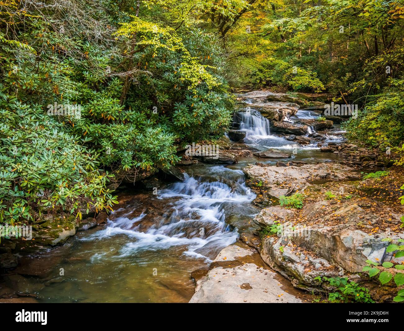 Kleiner Bach und Wasserfälle im New River Gorge National Park und Preserve in West Virginia USA Stockfoto