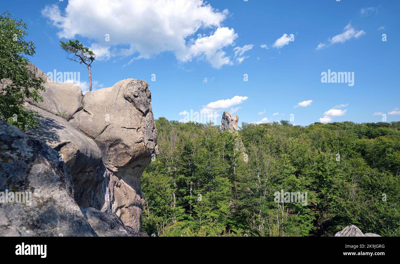 Riesige Felsformationen hoch in den Bergen mit wachsenden Bäumen an sonnigen Sommertagen. Stockfoto