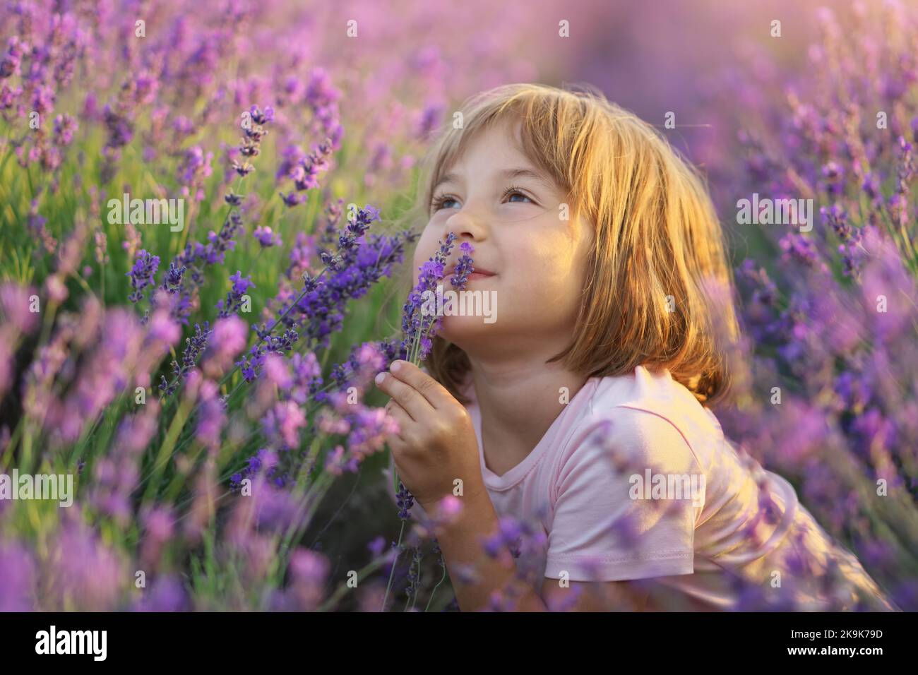 Niedliches kleines Mädchen, das auf der Lavendelwiese sitzt. Portrait und Natur Komposition. Stockfoto