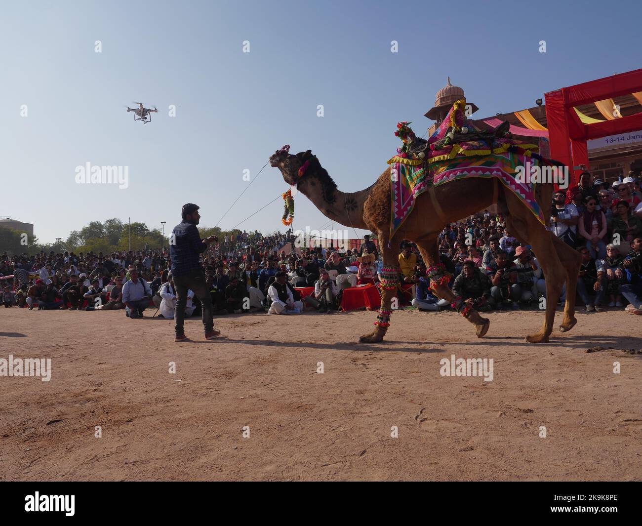 Bikaner Rajasthan, Indien : 14. Januar 2018 – Malen auf Kamel durch Schnitt Haare auf seinem Körper. Stockfoto