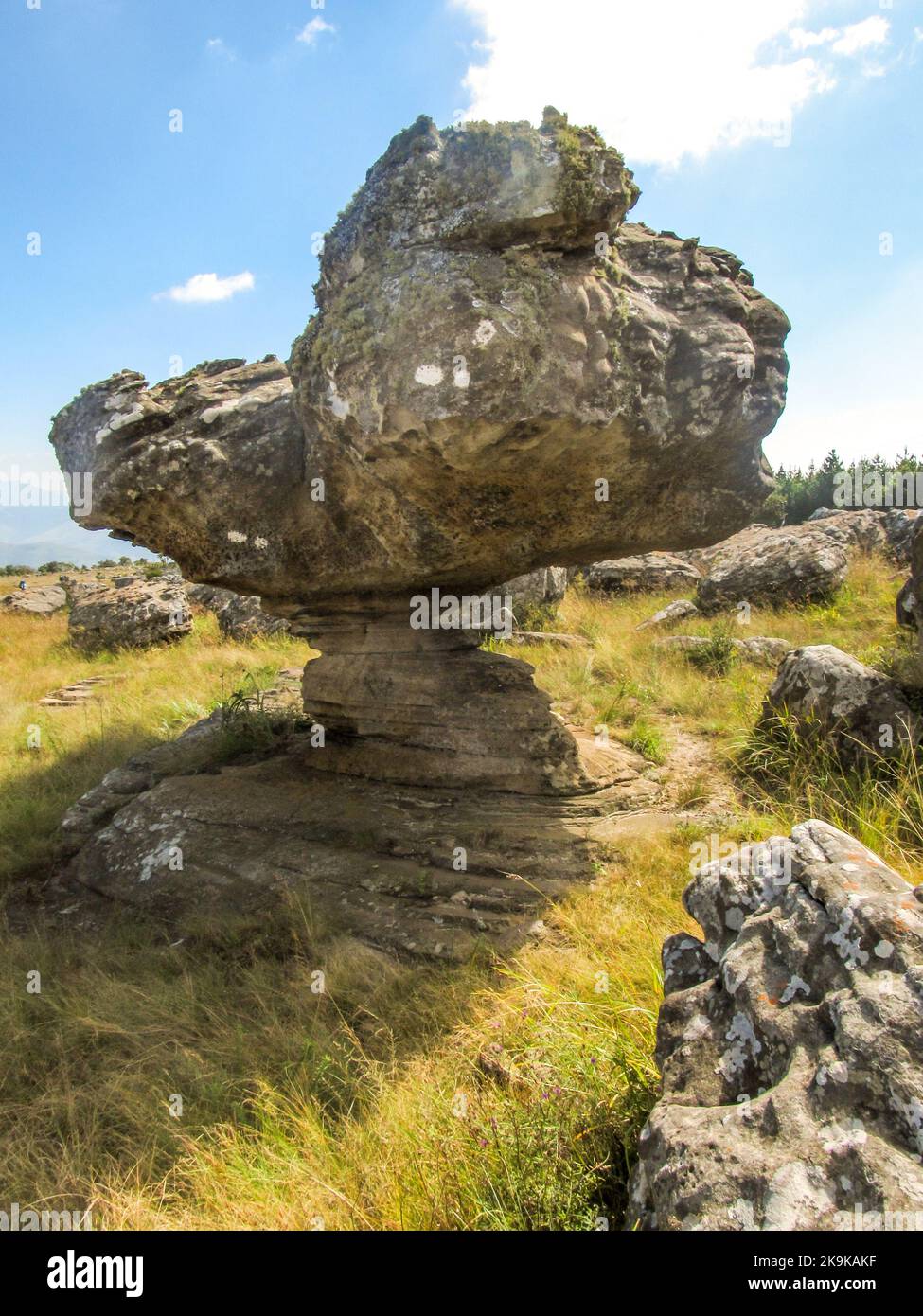 Eine seltsame, pilzförmige Felsformation im Afromontane-Grasland von Kaapsche Hoop, Südafrika, auf der ein Wanderpfadmarker gemalt ist. Stockfoto