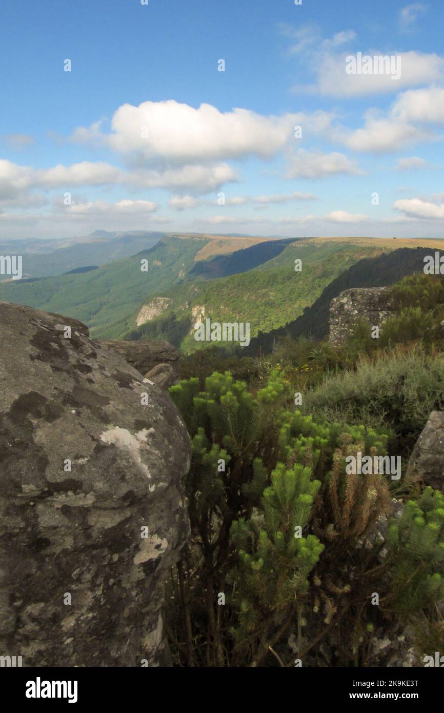 Berge am Rande des Großen Escarpment, etwas außerhalb von Nelspruit, Südafrika Stockfoto