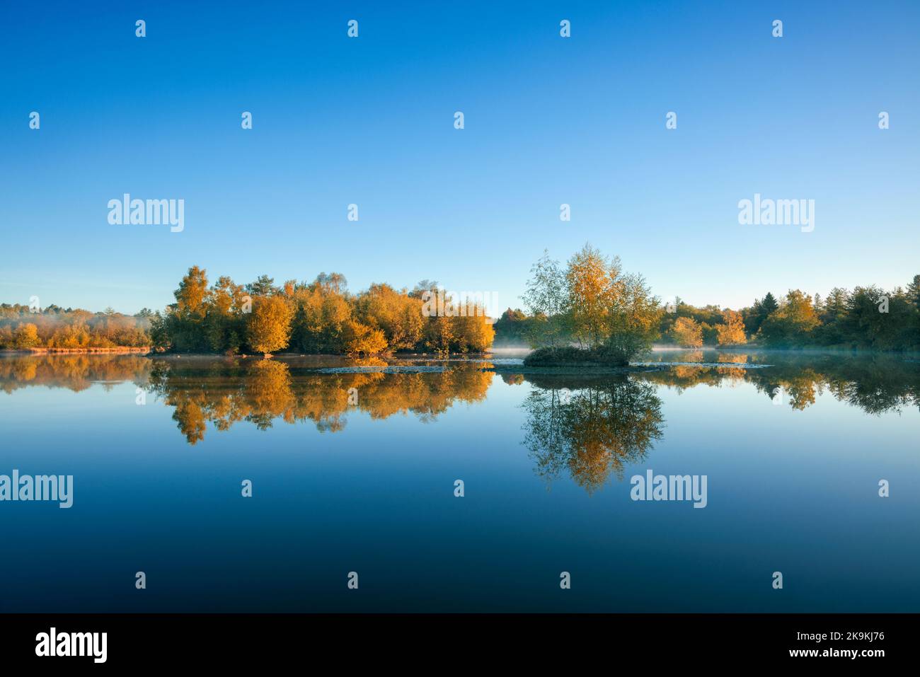 Im Besitz der Forstbehörde Woorgreens Lake in der Nähe von Cinderford. Stockfoto