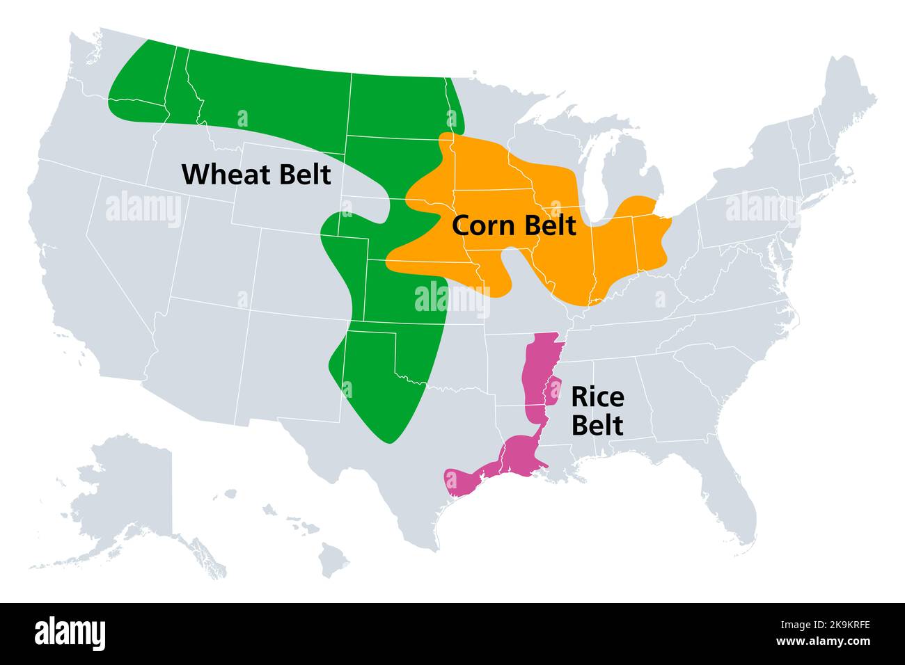 Maisgürtel, Weizengürtel und Reisgürtel der Vereinigten Staaten, politische Landkarte. Regionen, die den dominanten Anteil von Mais, Weizen und Reis anbauen. Stockfoto