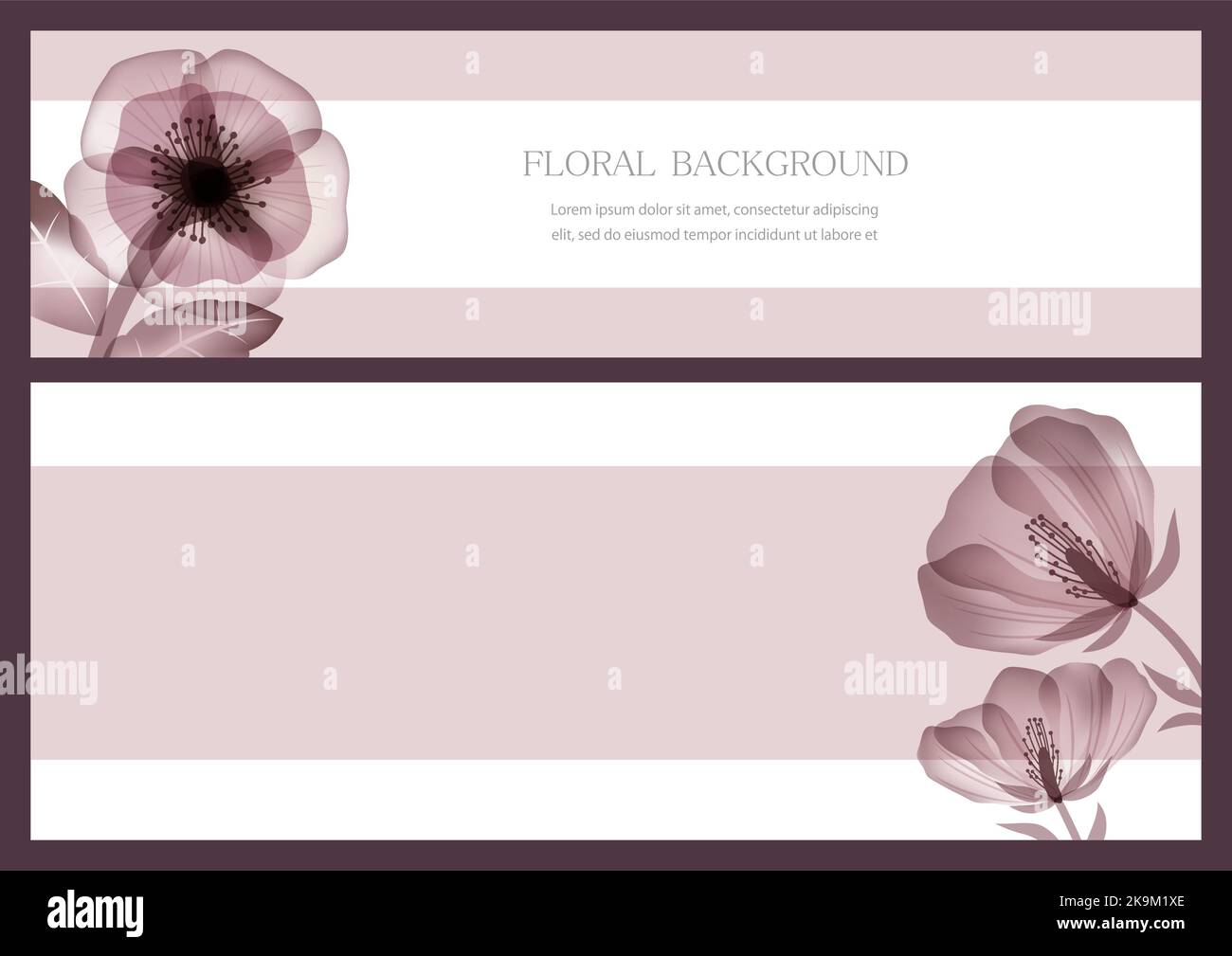 Nahtloser Aquarell-Blumenhintergrund mit Textbereich isoliert auf weißem Hintergrund. Vektorgrafik. Horizontal wiederholbar. Stock Vektor