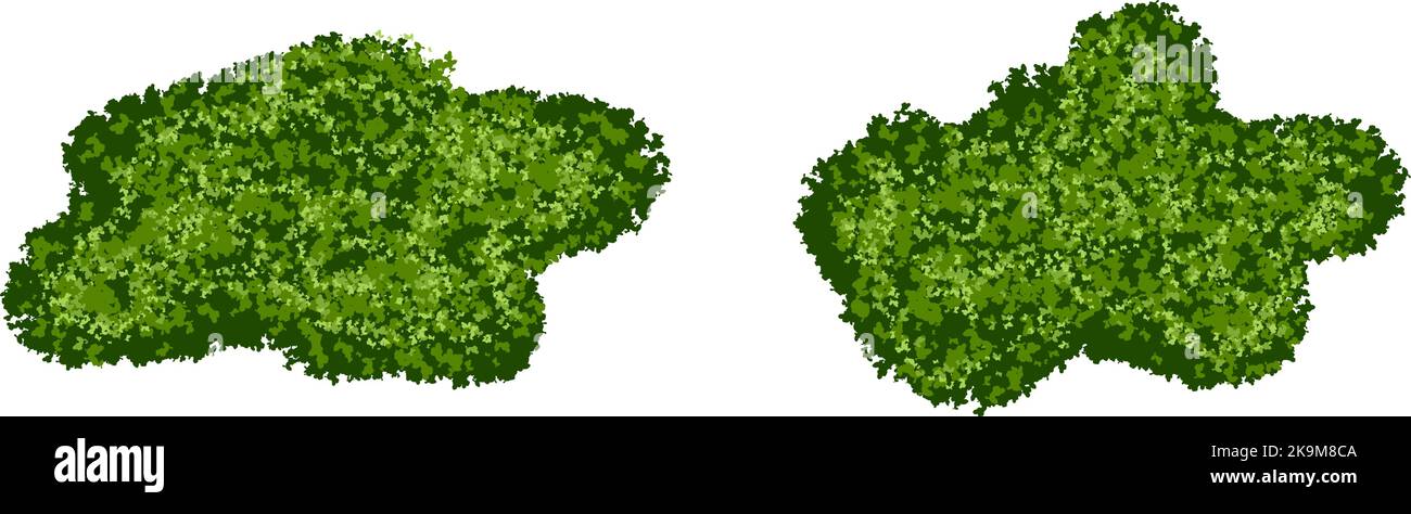 Set aus grünen Moosbüschen oder Waldflechten mit realistischer Textur isoliert auf weißem Hintergrund Stock Vektor