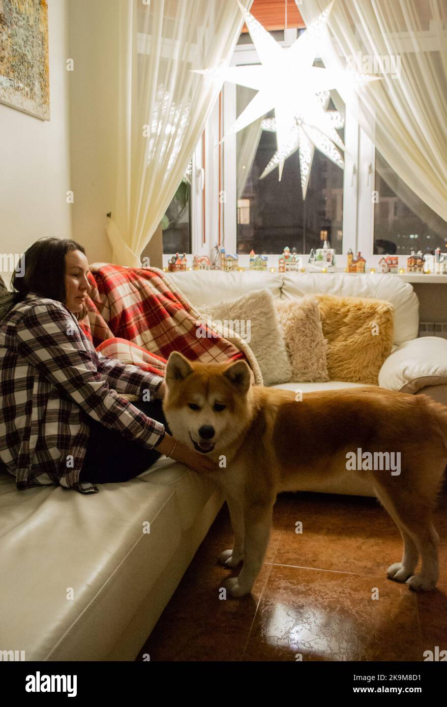 Eine junge Frau auf einem Sofa im Gespräch mit Akita Hund. Weihnachtsstern am Fenster: Weihnachtsdekor. Gemütliches Zuhause. Stockfoto