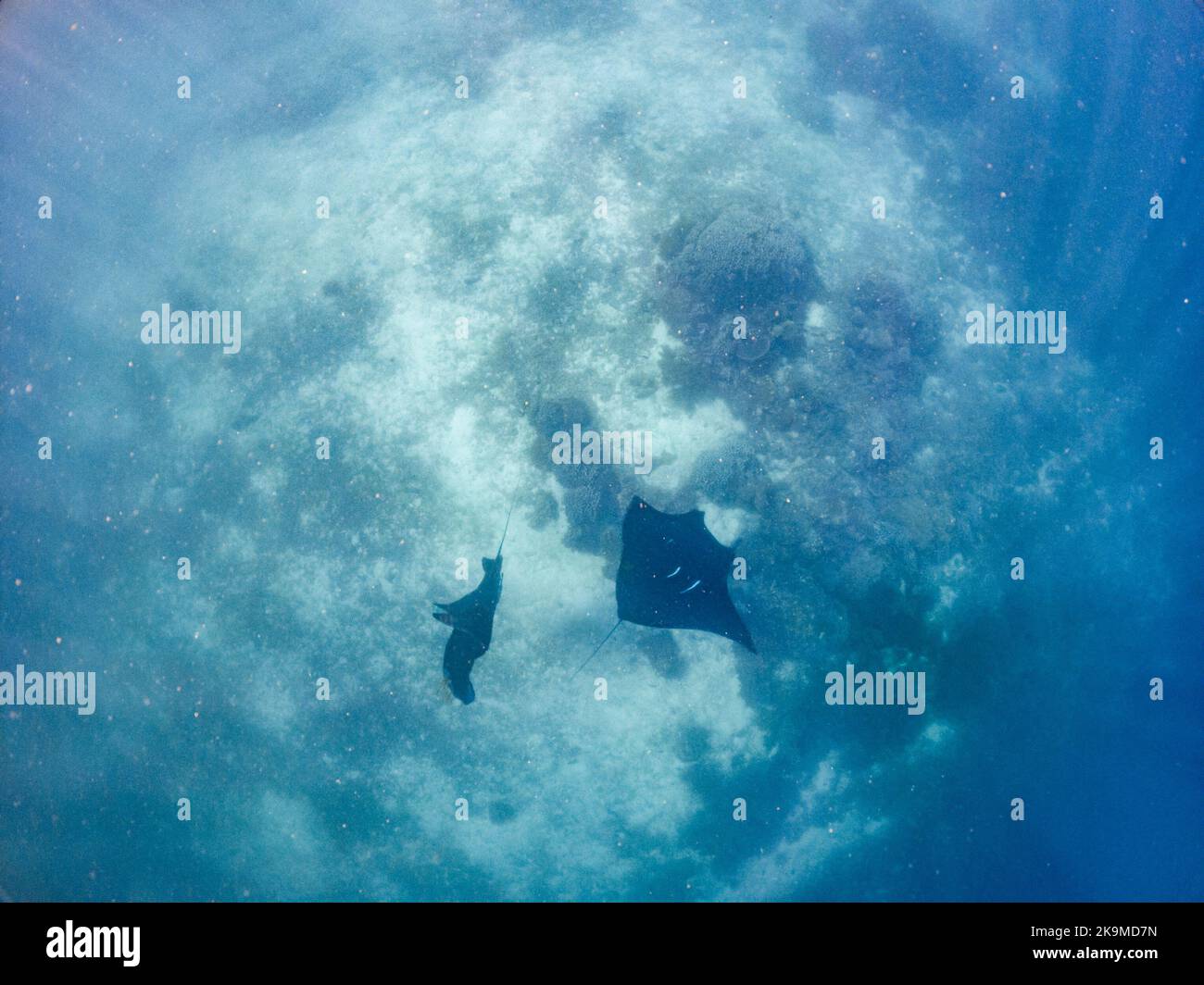 Das letzte Paradies...Raja Ampat Stockfoto