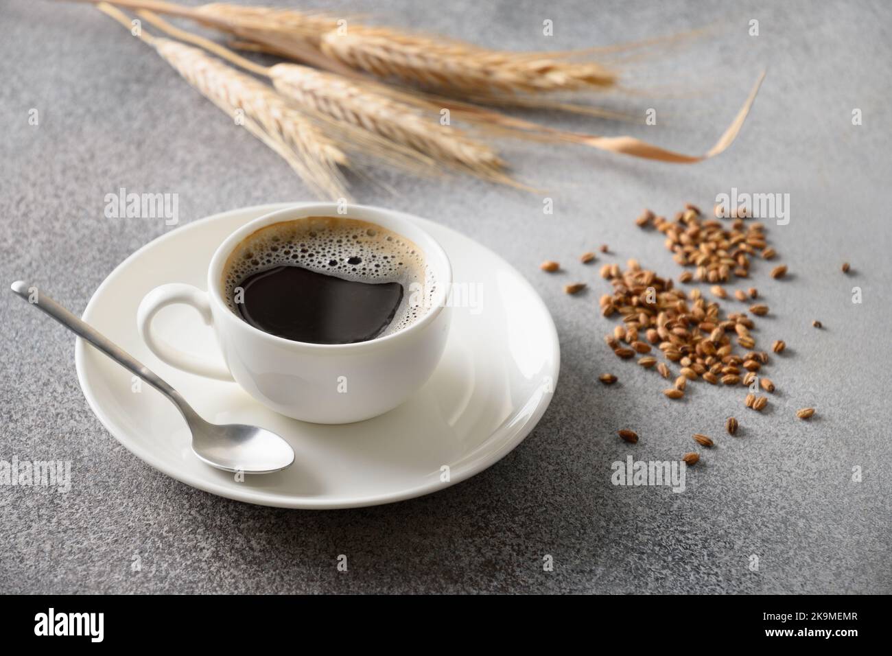 Gerstenkaffee in weißer Tasse, Bohnen und Gerstenohren auf grauem Hintergrund. Beste natürliche Koffein frei Bio-Kaffee Alternative. Kaffee Ersatz Beve Stockfoto