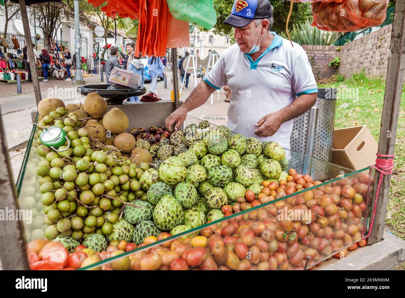 Bogota Kolumbien,Usaquen Carrera 6a Mercado de Las Pulgas en Usaquen Sonntag Flohmarkt,tropische Früchte produzieren solanum quitoense lulo naranjilla Annon Stockfoto