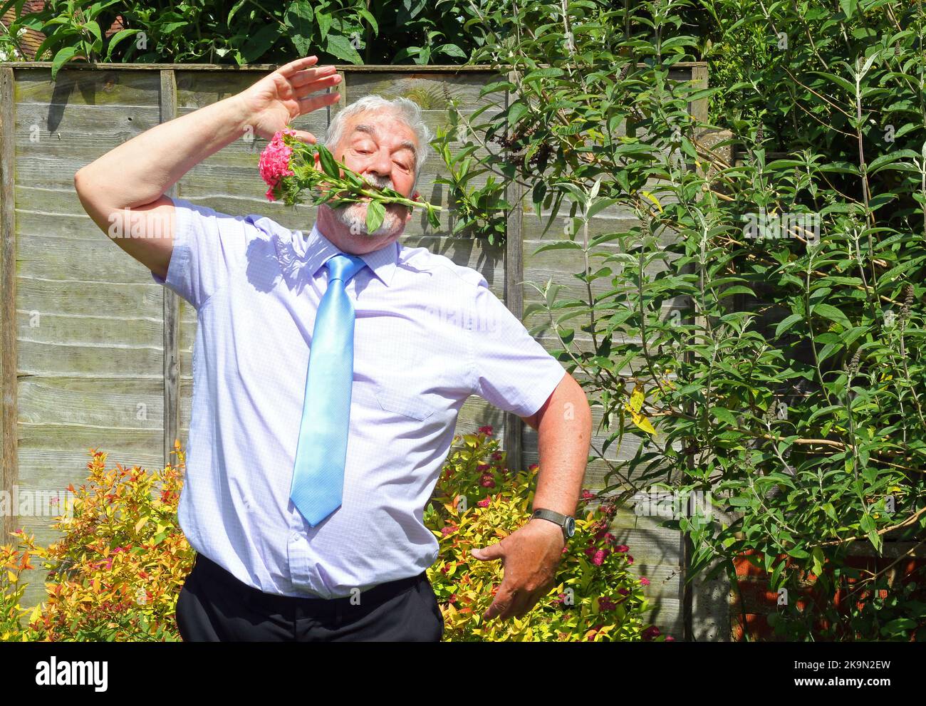 Glücklicher älterer Mann, der mit Blumenstrauß im Mund tanzt. Stockfoto