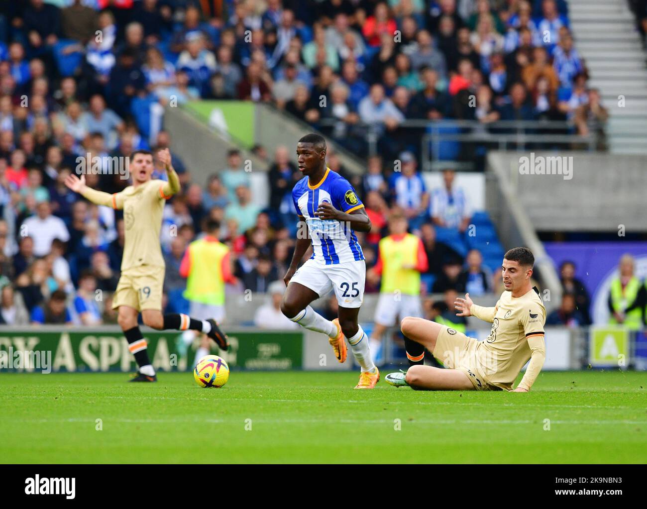 Brighton, Großbritannien. 29.. Oktober 2022. Während des Premier League-Spiels zwischen Brighton & Hove Albion und Chelsea im Amex am 29. 2022. Oktober in Brighton, England. (Foto von Jeff Mood/phcimages.com) Quelle: PHC Images/Alamy Live News Stockfoto