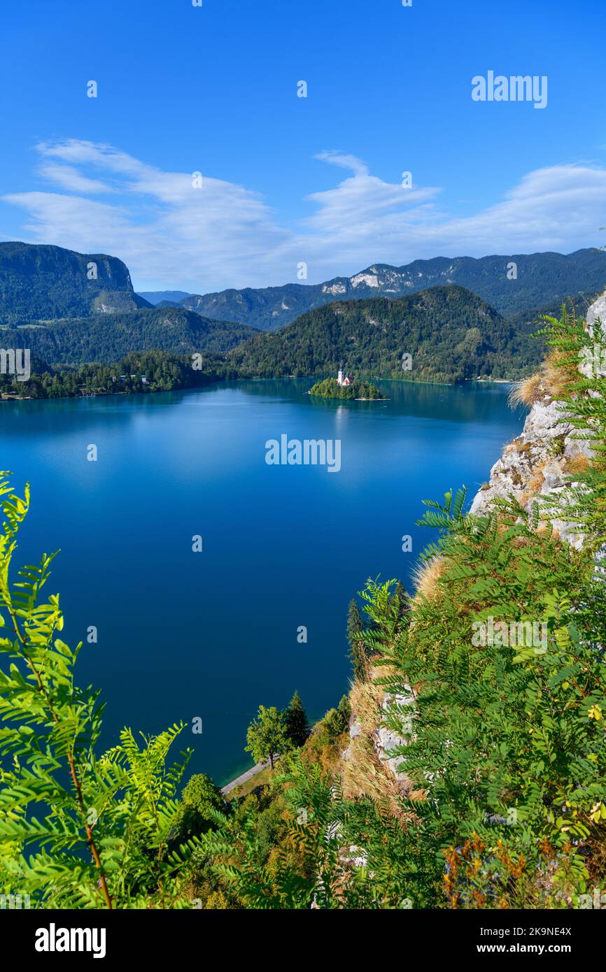 Blick über den Bleder See und die Insel Bled vom Schloss Bled, dem Bleder See, Slowenien Stockfoto