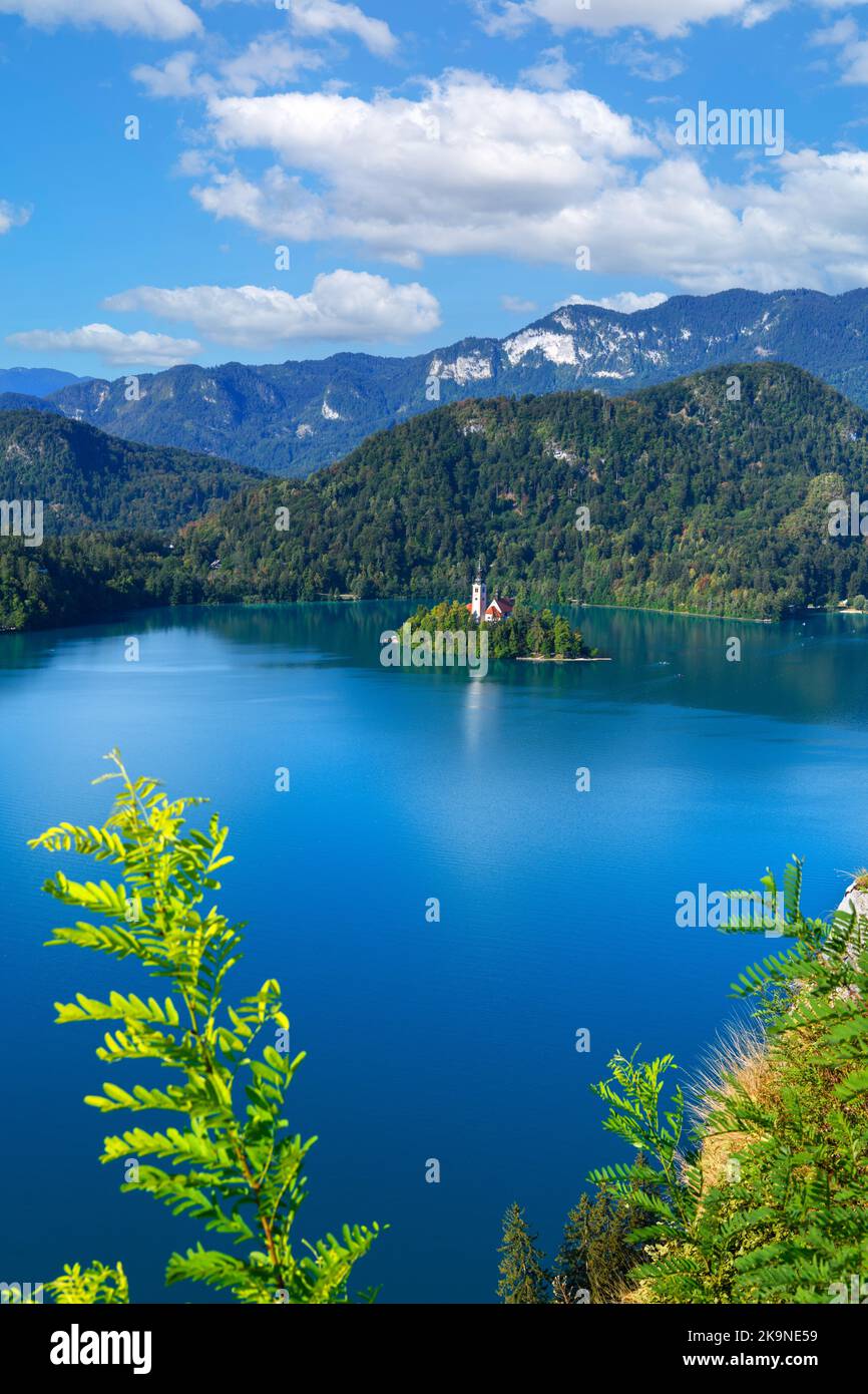 Blick über den Bleder See und die Insel Bled vom Schloss Bled, dem Bleder See, Slowenien Stockfoto
