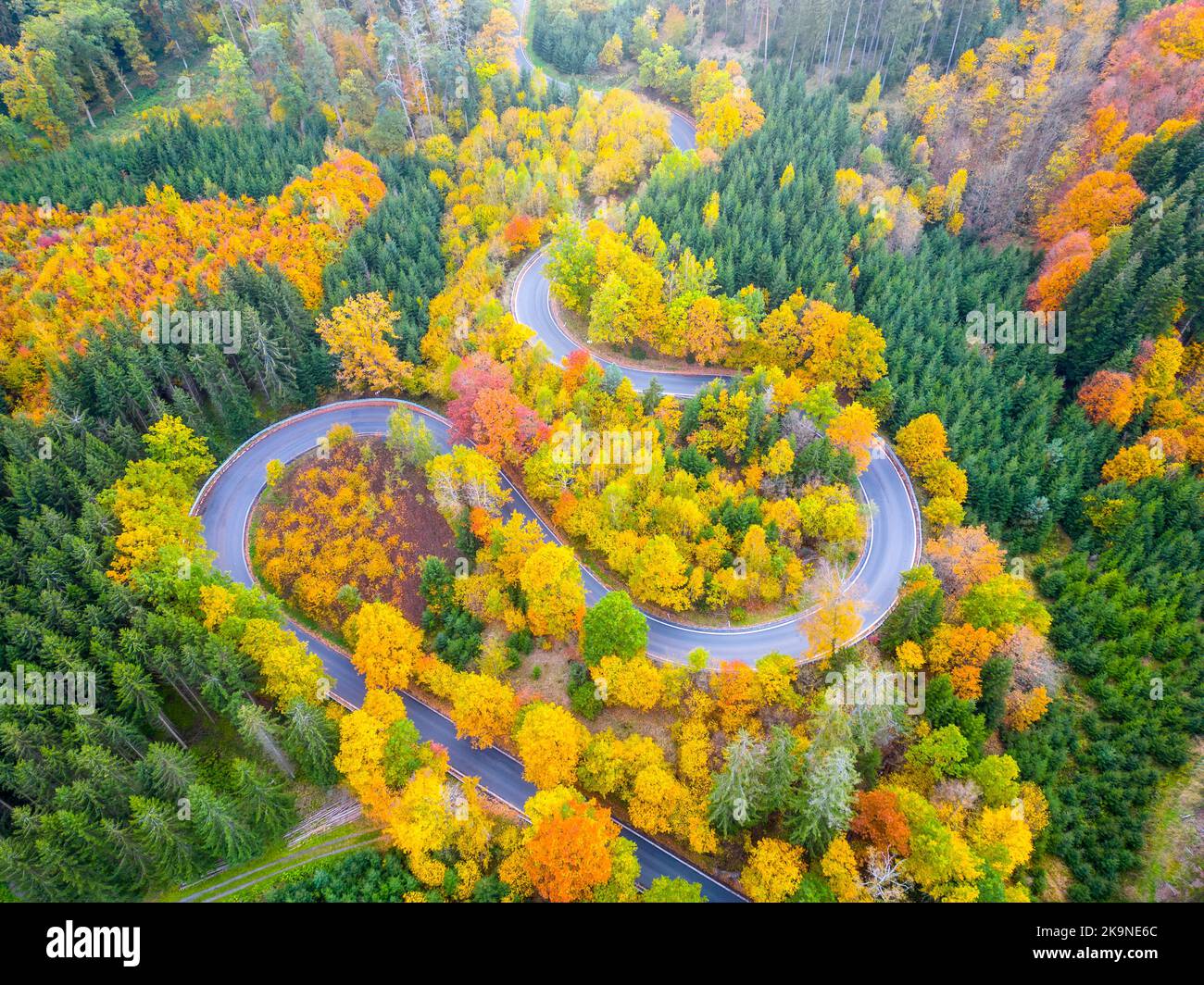 Kurvenreiche Wald-Asphaltstraße am bunten Herbsttag von oben Stockfoto