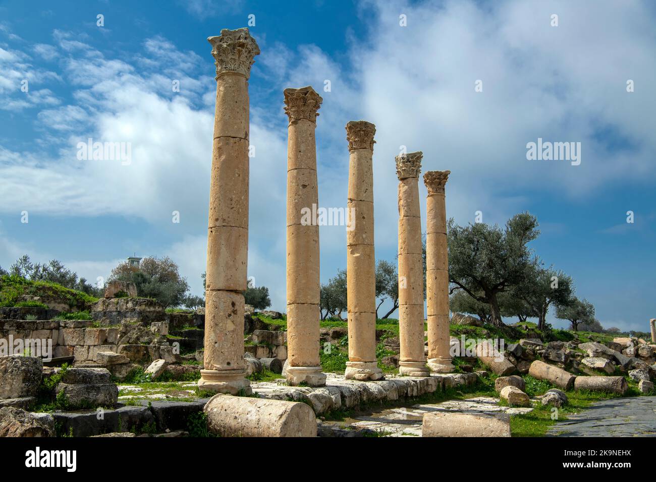 Römische Säulen Umm Qais (Gadara) Jordanien 3 Stockfoto